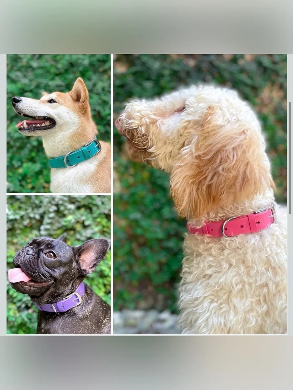 Tuff Pupper Classic Heavy Duty Dog Collar | 10x Stronger Than Leather | 100% Wat